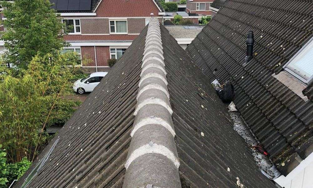 Repareren van nokvorsten in Staphorst