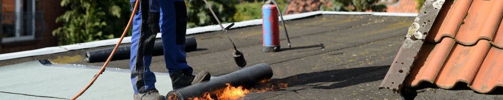 Werkzaam in en rondom Staphorst